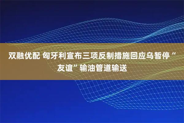 双融优配 匈牙利宣布三项反制措施回应乌暂停“友谊”输油管道输送