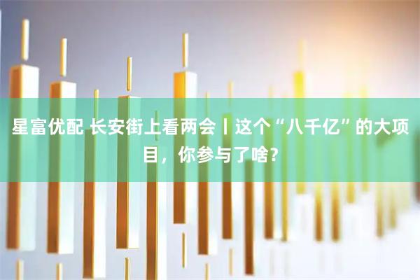 星富优配 长安街上看两会丨这个“八千亿”的大项目，你参与了啥？