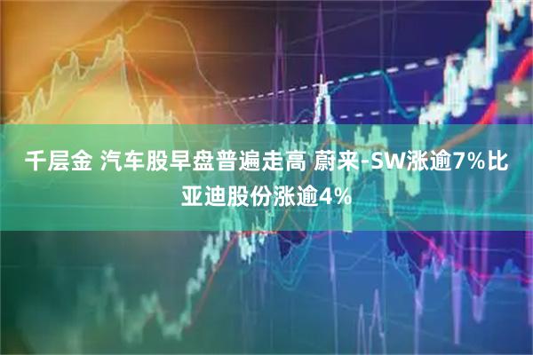 千层金 汽车股早盘普遍走高 蔚来-SW涨逾7%比亚迪股份涨逾4%