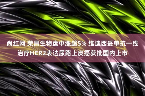 尚红网 荣昌生物盘中涨超5% 维迪西妥单抗一线治疗HER2表达尿路上皮癌获批国内上市