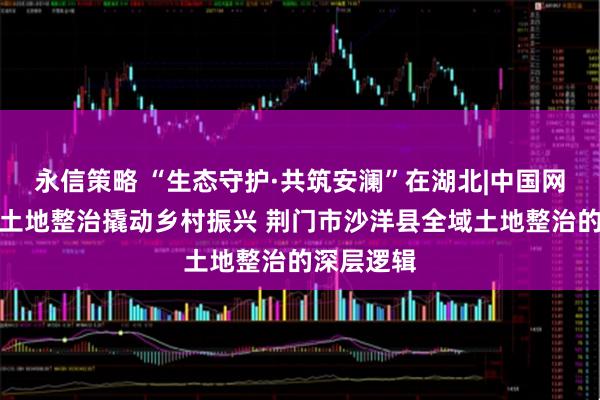 永信策略 “生态守护·共筑安澜”在湖北|中国网聚焦：以土地整治撬动乡村振兴 荆门市沙洋县全域土地整治的深层逻辑