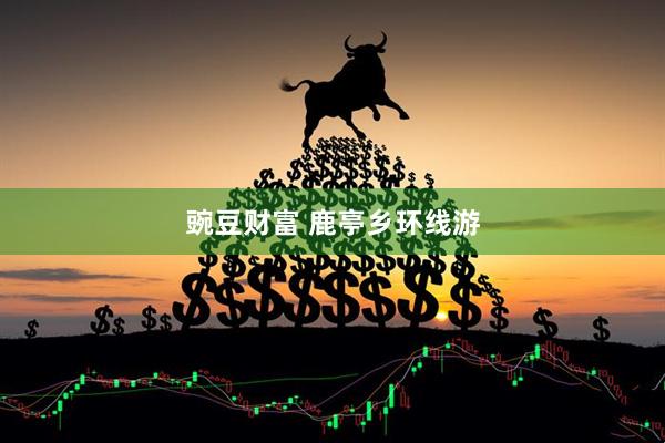 豌豆财富 鹿亭乡环线游